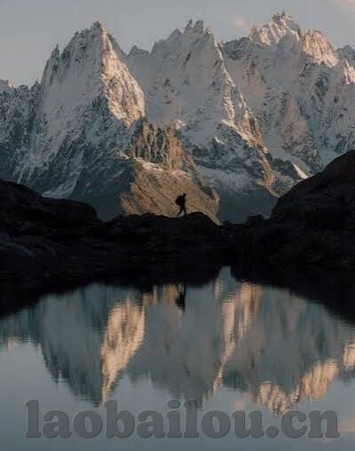 成人免费在线视频-成人免费在线视频，信息时代的娱乐新选择