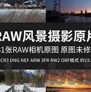 大象2022精品视频-2022年大象精品视频，艺术与技术的完美融合