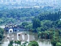 大象传媒官网1000-大象传媒官网，重塑数字媒体新生态的先锋力量
