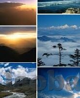 邻居人妻的肉欲满足-邻居人妻的微妙平衡，肉欲与道德的交织