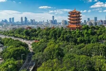 麻豆传媒国产之光林-揭示麻豆传媒中的国产之光——林的角色与意义