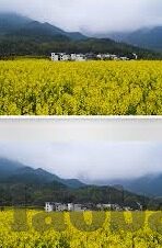 欧美理论在线大象视频-欧美理论在线与大象视频，文化交流的桥梁与挑战