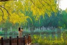 糖心vlog污邀请码-解锁糖心世界，探索Vlog新境界的魅力邀请