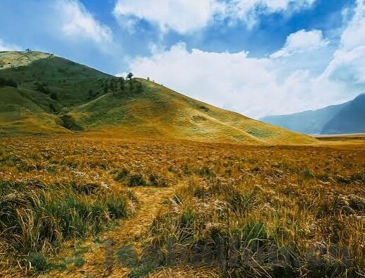 亚洲一区二区三区av-探索亚洲文化多样性的独特视角，从一区、二区、三区的视角出发